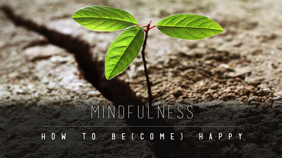 Mindfulness makes you happy